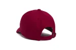 Madison Microscript Dad II sold by Hood Hat