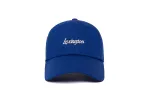Lexington Microscript Dad sold by Hood Hat