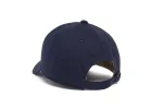 Tucson Microscript Dad sold by Hood Hat
