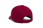 Utah Microscript Dad sold by Hood Hat