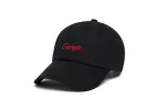 Georgia Microscript Dad sold by Hood Hat