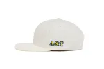 NCAT Offset Logo Wool sold by Hood Hat