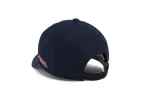 ARIZONA Offet Logo Dad sold by Hood Hat
