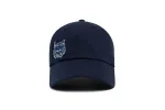 ARIZONA Offet Logo Dad sold by Hood Hat