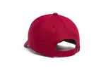 Philadelphia 2024 Name Dad sold by Hood Hat