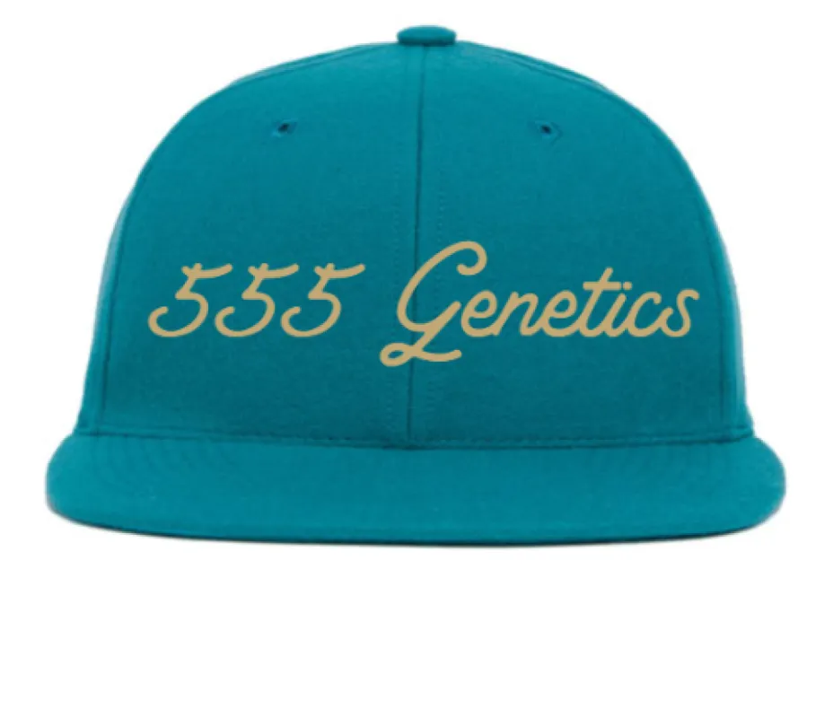 Hat Customizer sold by Hood Hat
