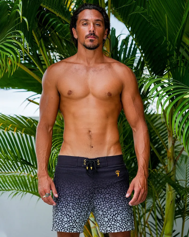 Stingray Onyx - 5" sold by Tucann product image thumbnail 2