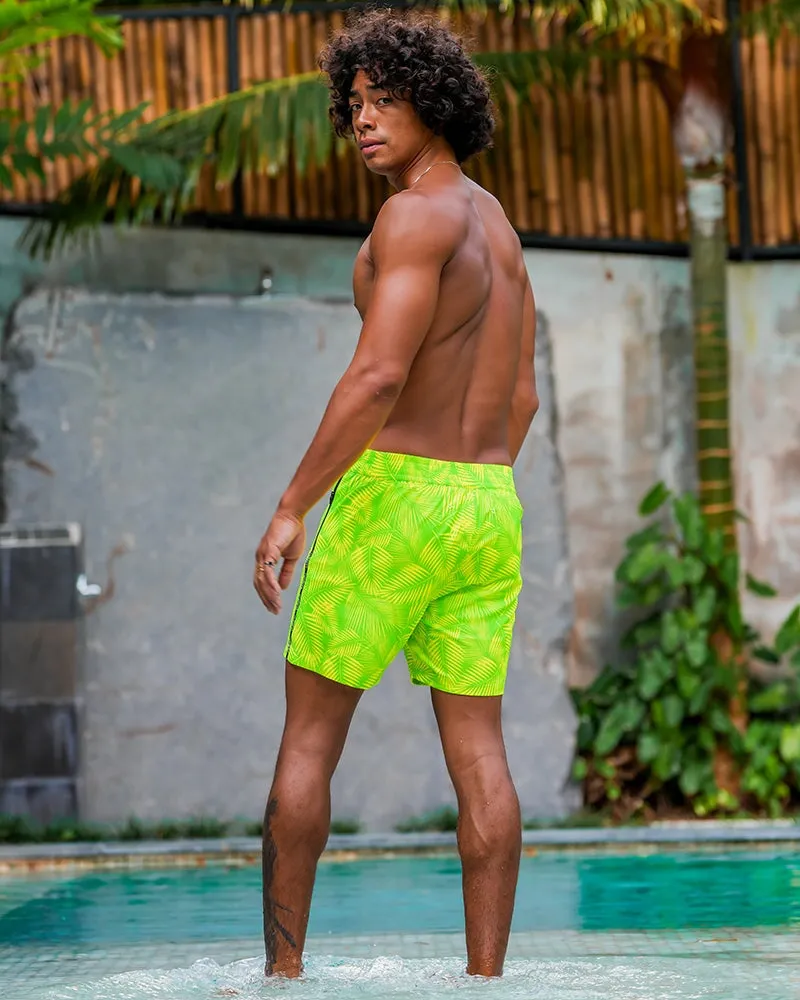 Hyper Fern - Gecko 5" sold by Tucann product image thumbnail 3