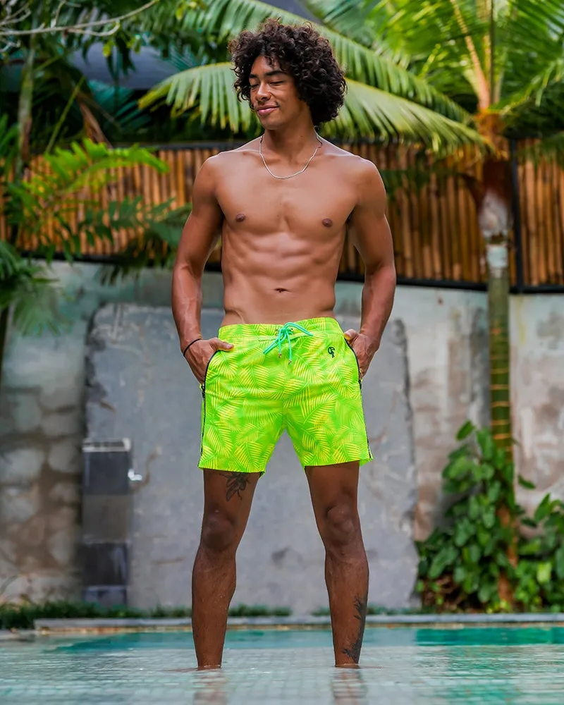 Hyper Fern - Gecko 5" sold by Tucann product image thumbnail 2