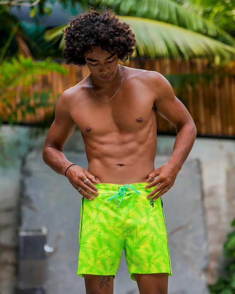 Hyper Fern - Gecko 5" sold by Tucann product image thumbnail 5