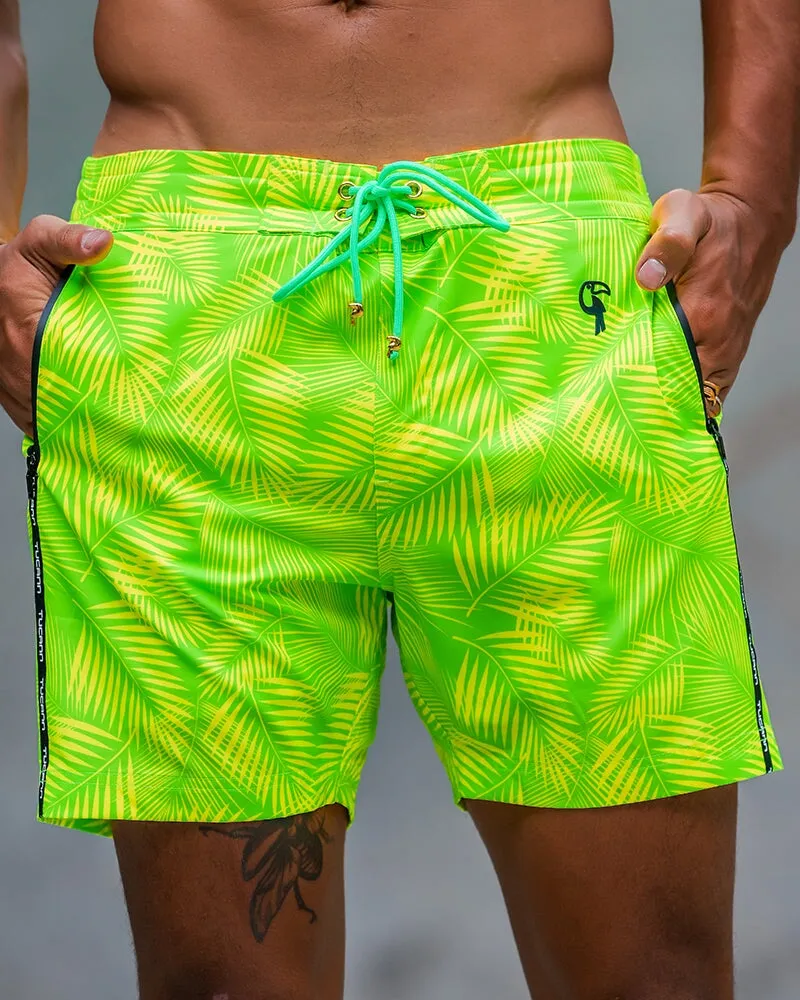 Hyper Fern - Gecko 5" sold by Tucann product image thumbnail 4