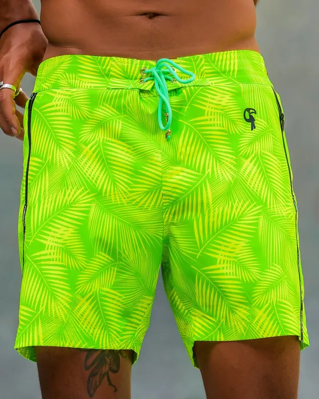 Hyper Fern - Gecko 5" sold by Tucann