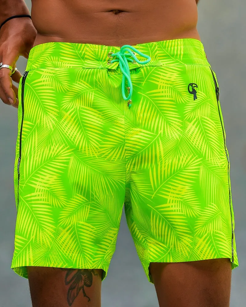 Hyper Fern - Gecko 5" sold by Tucann