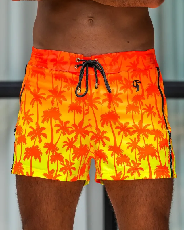 Faded Palm - Sunset 3'' sold by Tucann