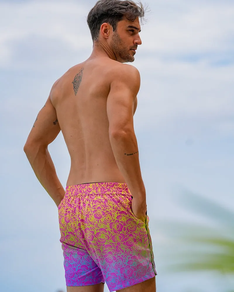 Neon Bloom - Magic Fade 5" sold by Tucann product image thumbnail 4