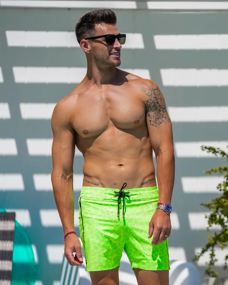 Mirage - Lime - 5" sold by Tucann product image thumbnail 3