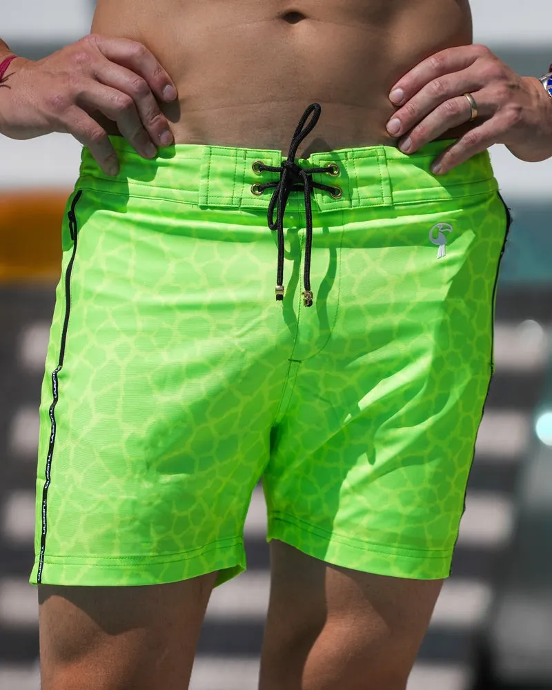 Mirage - Lime - 5" sold by Tucann