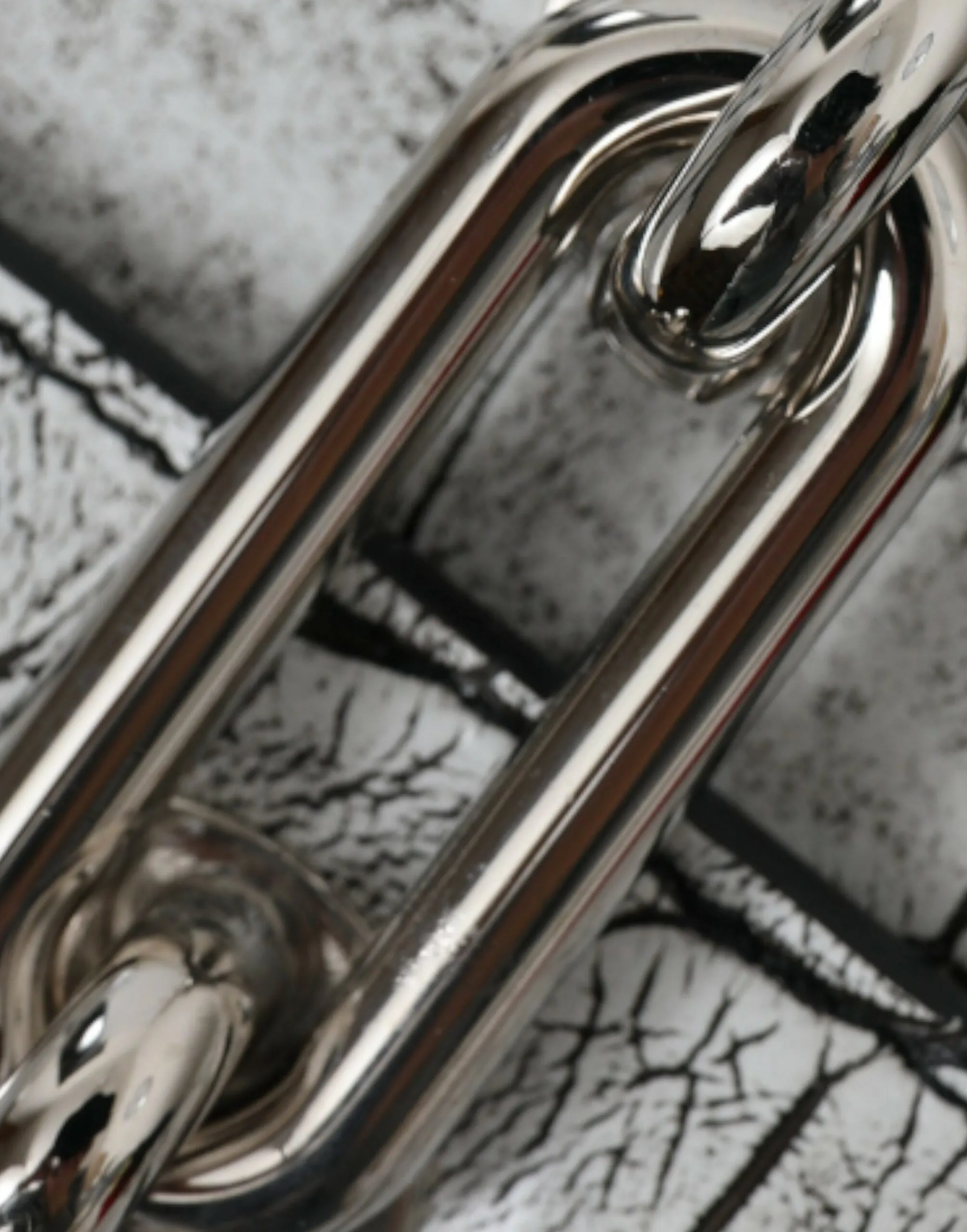 Metallic Silver Alligator Leather Mini Bag sold by Louxly product image thumbnail 5