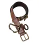 Brown Calf Leather Gold Metal Buckle Belt Men sold by Louxly