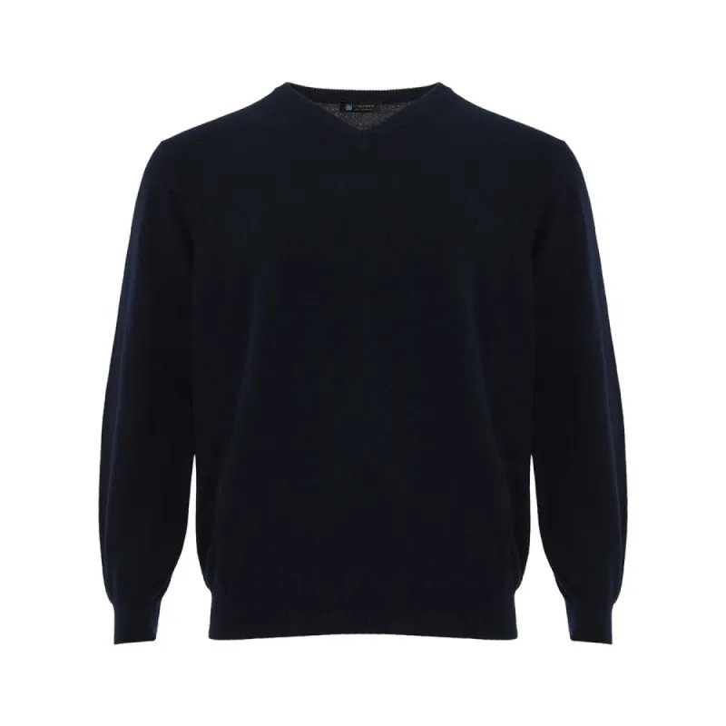 Elegant Cashmere Blue Sweater for Men sold by Louxly