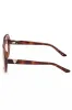 Brown Injected Plastic Women Sunglasses sold by Louxly