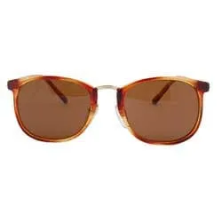 DUTCH Tortoise Classic Sunglasses sold by Giant Vintage