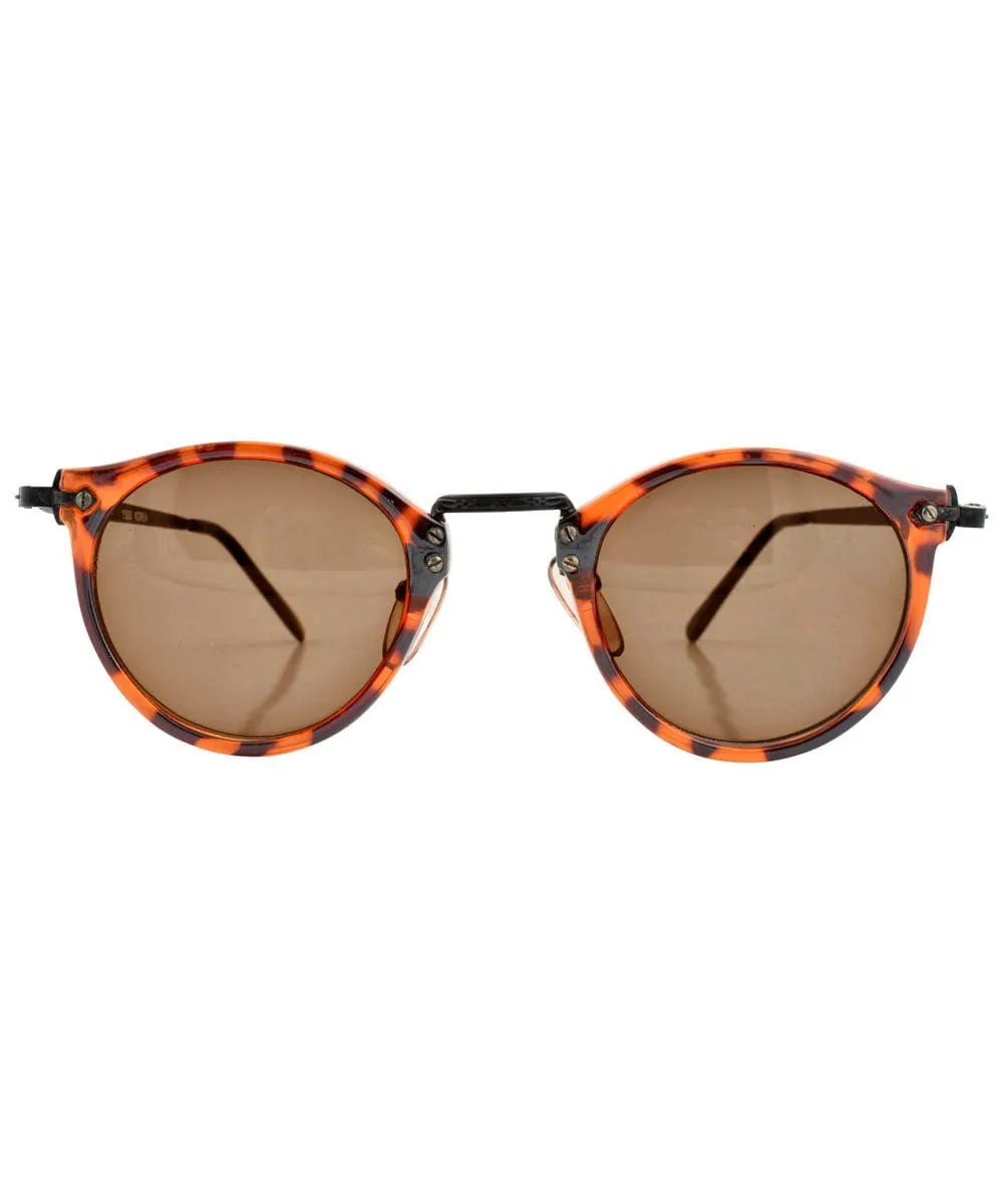 COURT Tortoise/Brown Classic Sunglasses sold by Giant Vintage product image thumbnail 3