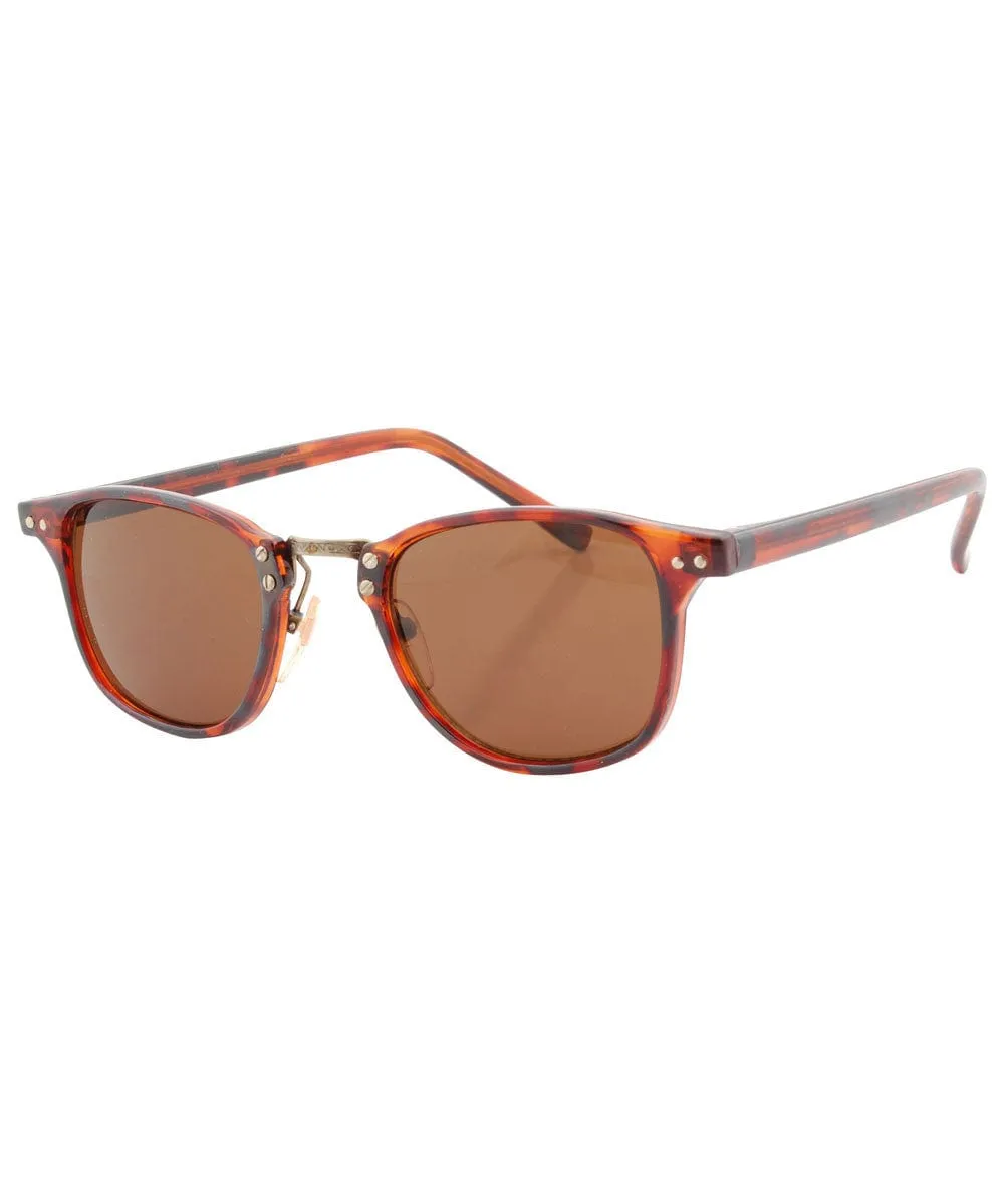BELFORTE Tortoise Classic Sunglasses sold by Giant Vintage product image thumbnail 2