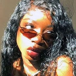 KID KNEE Copper Cat-Eye Sunglasses sold by Giant Vintage