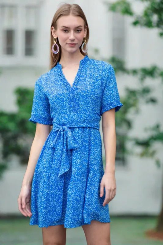 Lynnie Dress sold by Rungolee