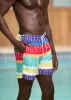 Safari Men's African Print Swim Trunks (Rainbow Punch Adire) - Clearance sold by D'iyanu