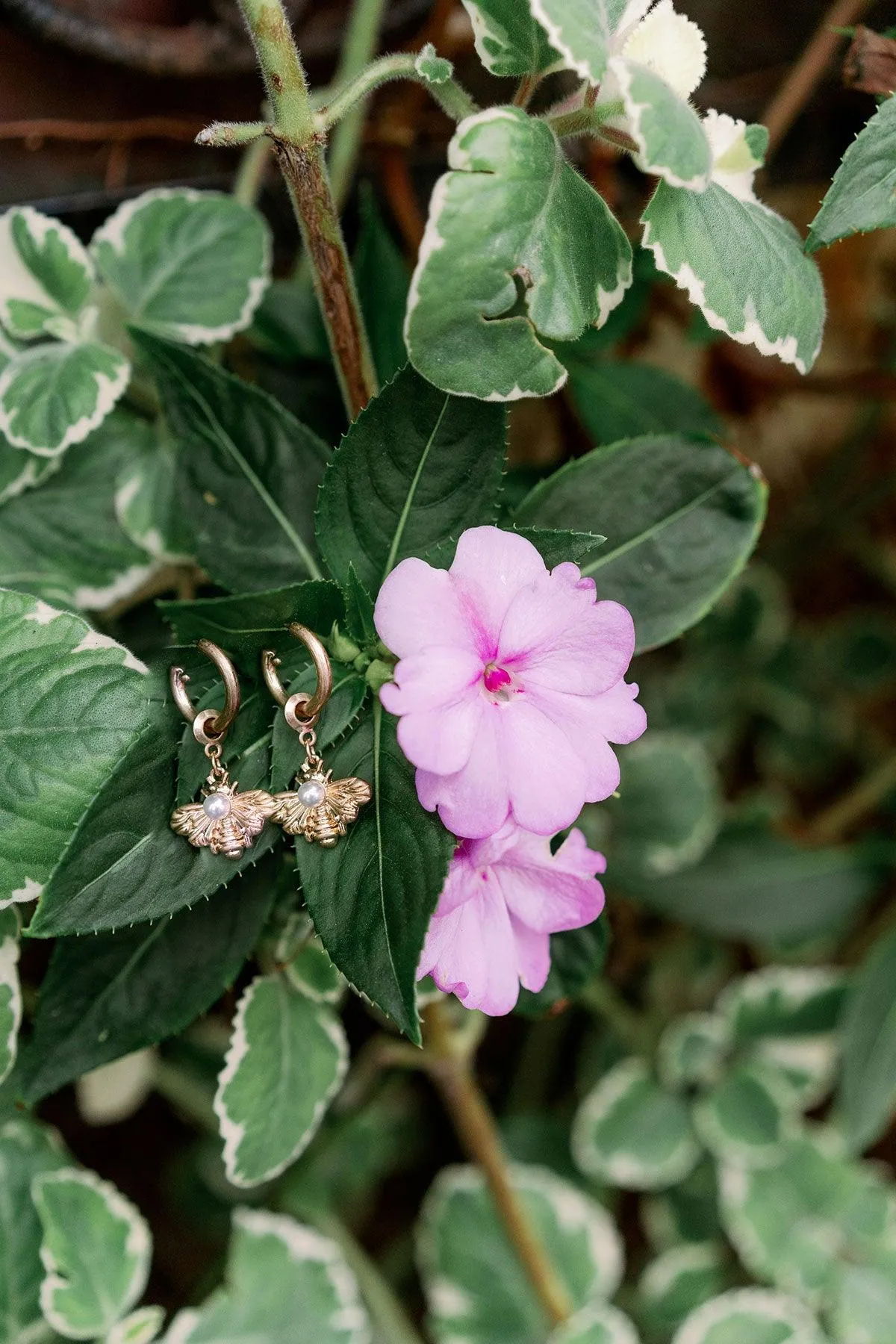 Martine Bee & Pearl Drop Hoop Earrings in Worn Gold - FINAL SALE sold by Canvas Style product image thumbnail 2