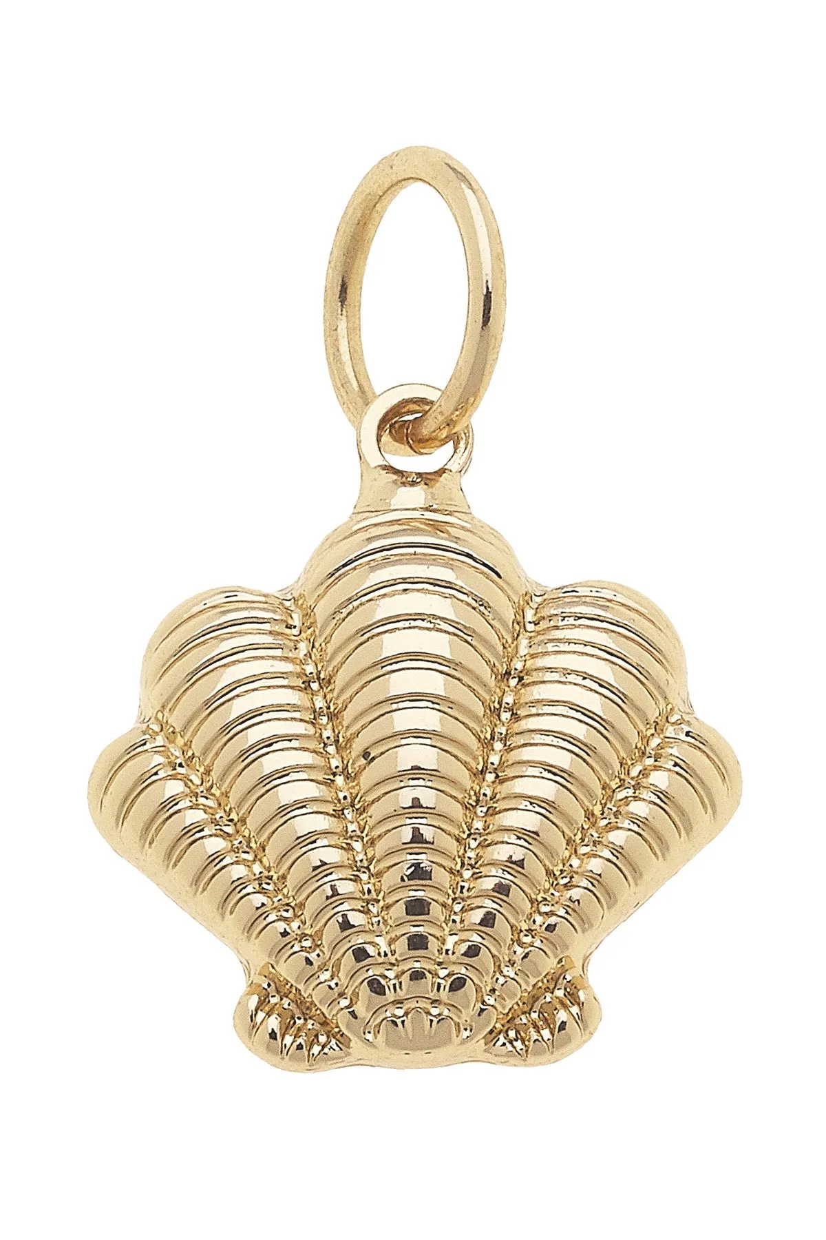 Ribbed Clamshell Charm in Shiny Gold sold by Canvas Style