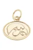 Iowa Hawkeyes Shiny Gold Logo Charm sold by Canvas Style