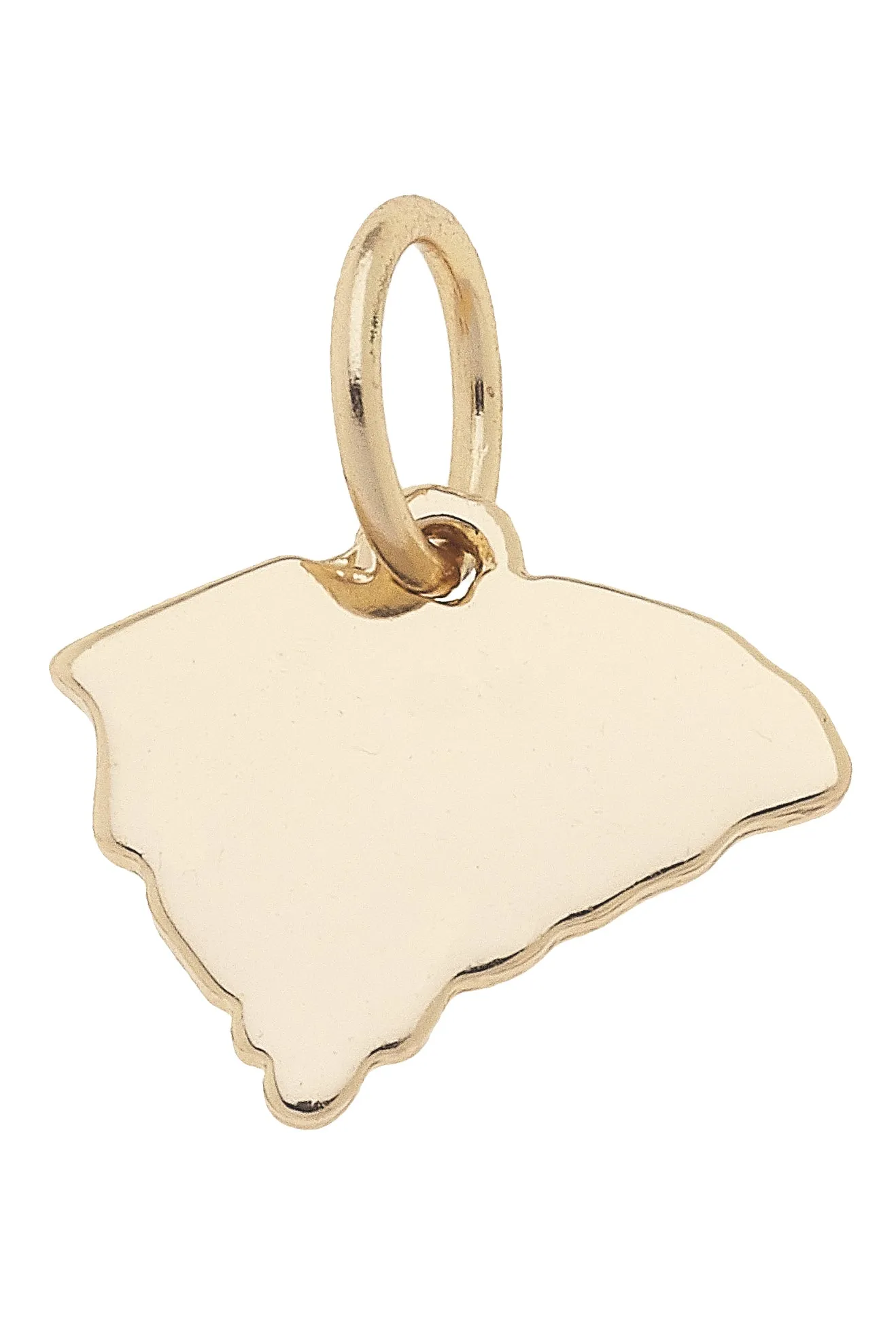 South Carolina Shaped State Charm in Shiny Gold sold by Canvas Style