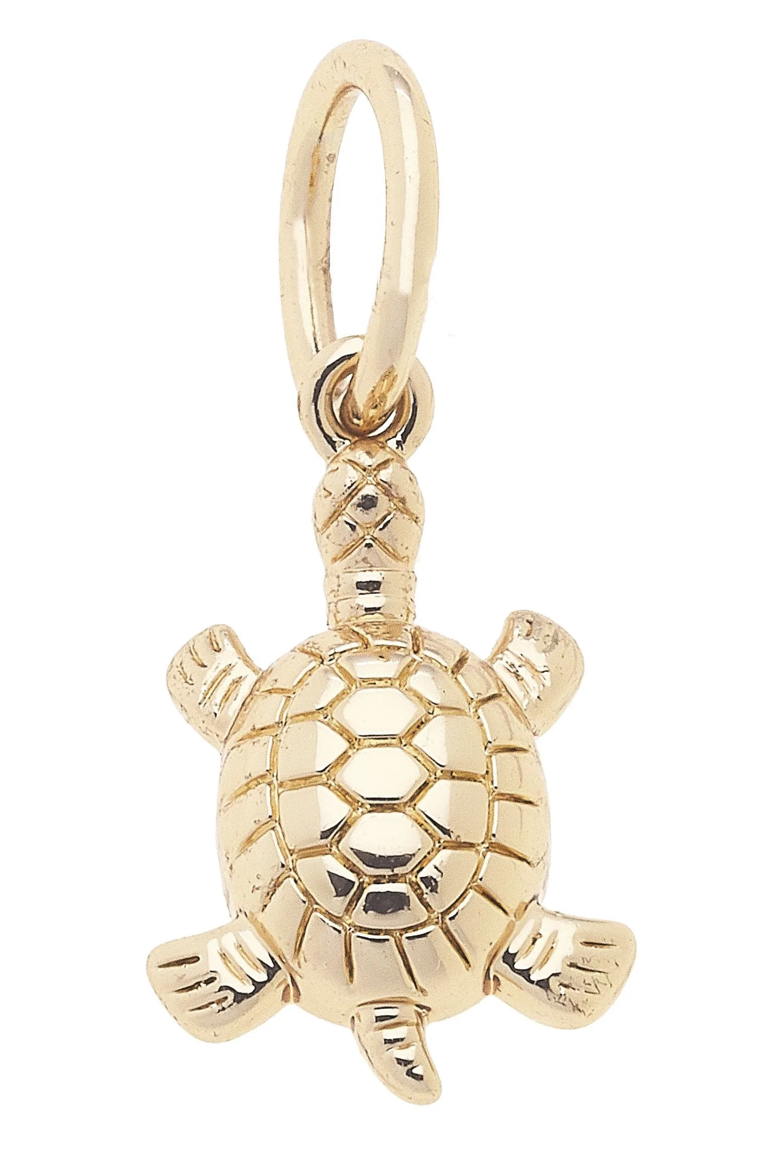 Sea Turtle Charm in Shiny Gold sold by Canvas Style