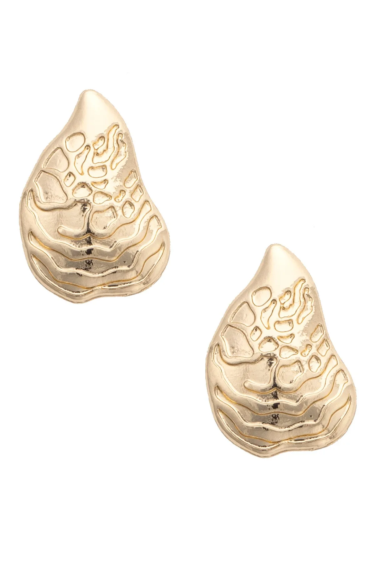 Oyster Shell Earrings in Shiny Gold sold by Canvas Style