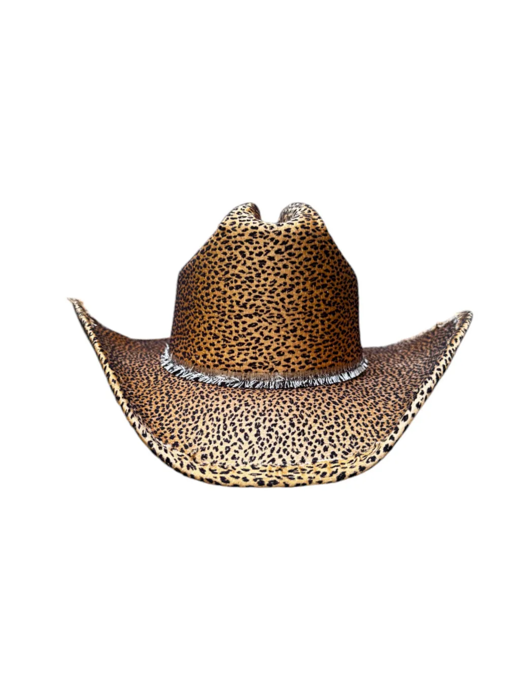AS SEEN ON BRITTANY ALDEAN!! Golden Savannah Cowboy Hat sold by Glitzy Bella product image thumbnail 3