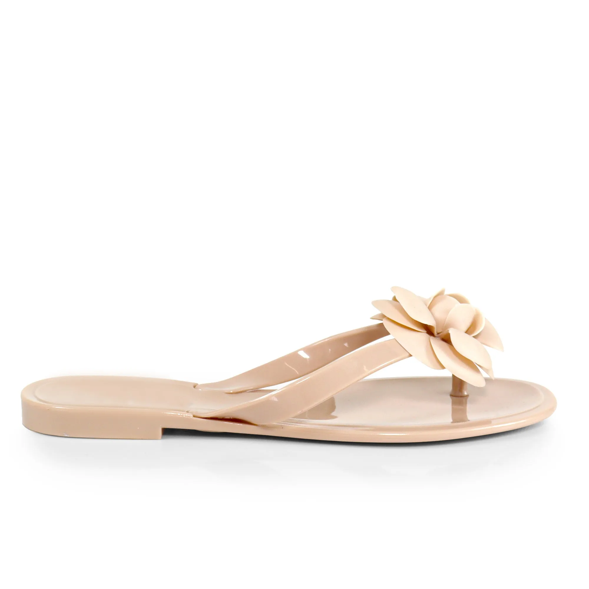 FINAL SALE!! Coco Jelly Slides in Nude sold by Glitzy Bella product image thumbnail 2