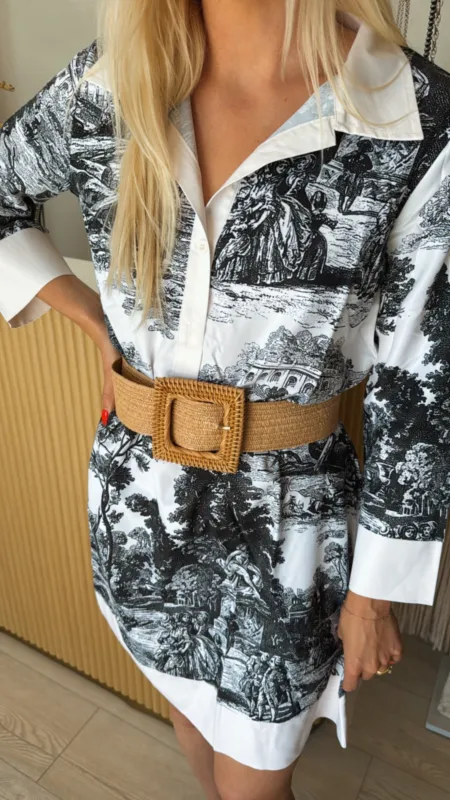 PREORDER!! Toile Print Dress sold by Glitzy Bella