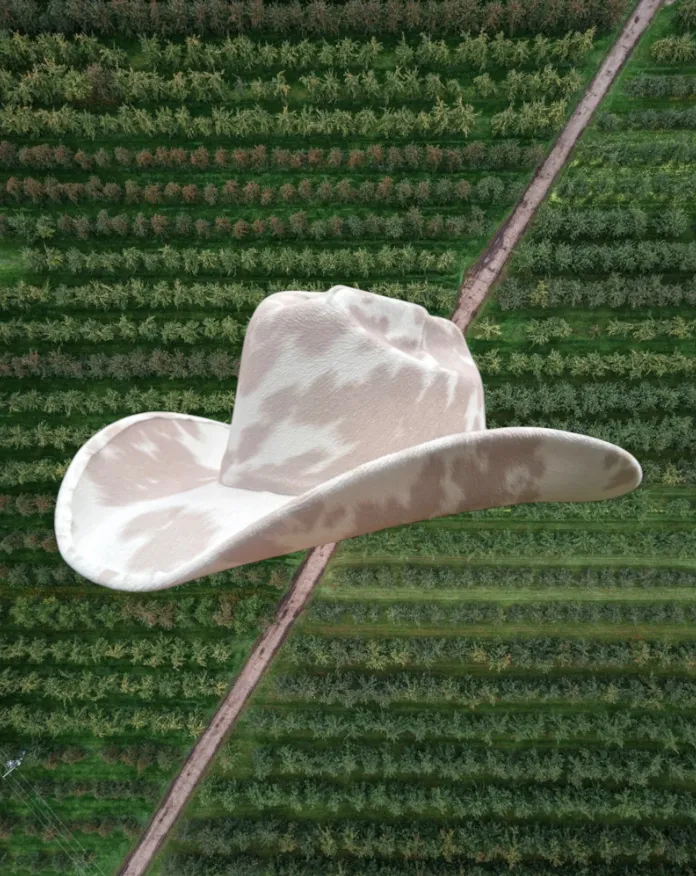 NEW!! Dairy Cream Cowboy Hat sold by Glitzy Bella product image thumbnail 2