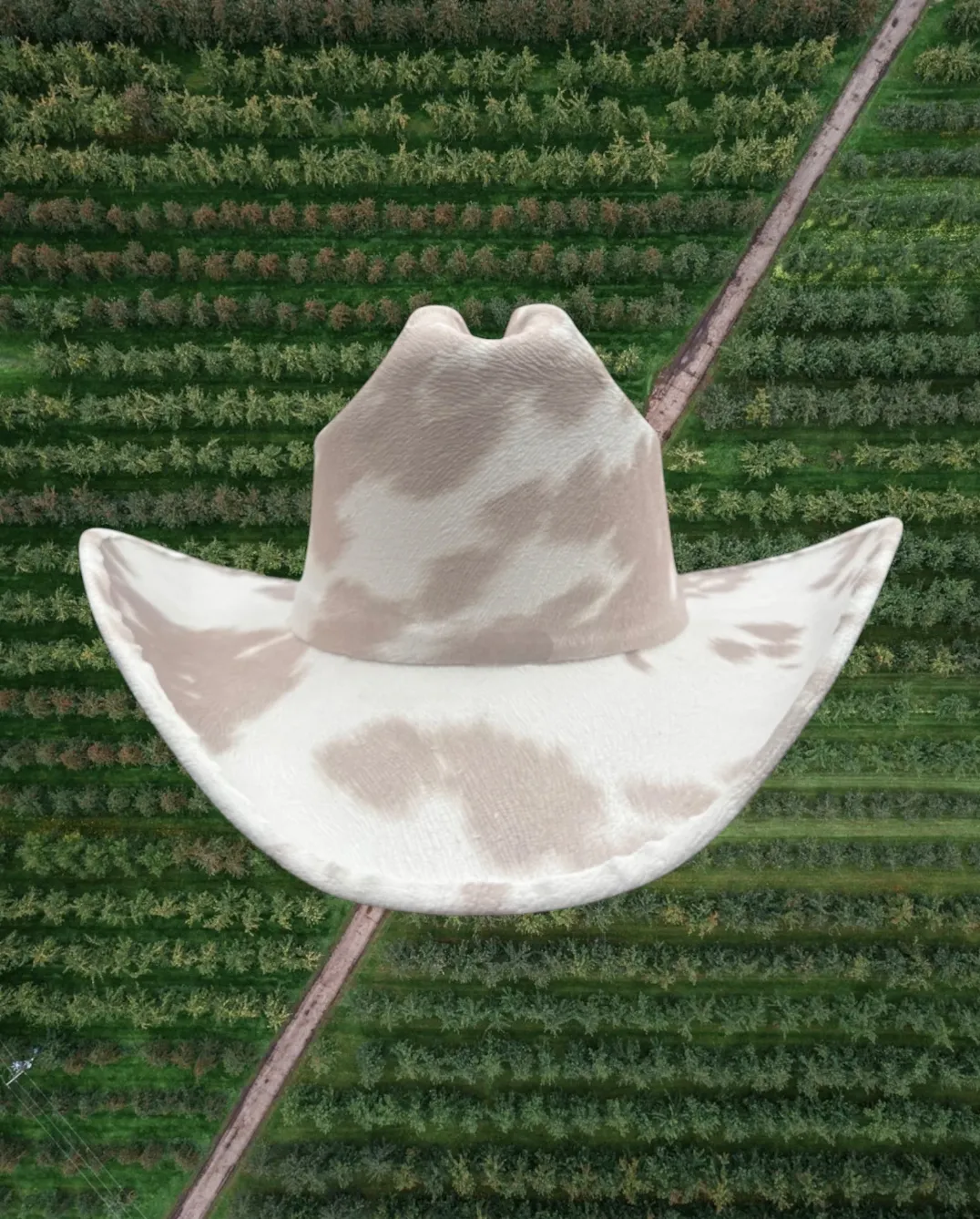 NEW!! Dairy Cream Cowboy Hat sold by Glitzy Bella