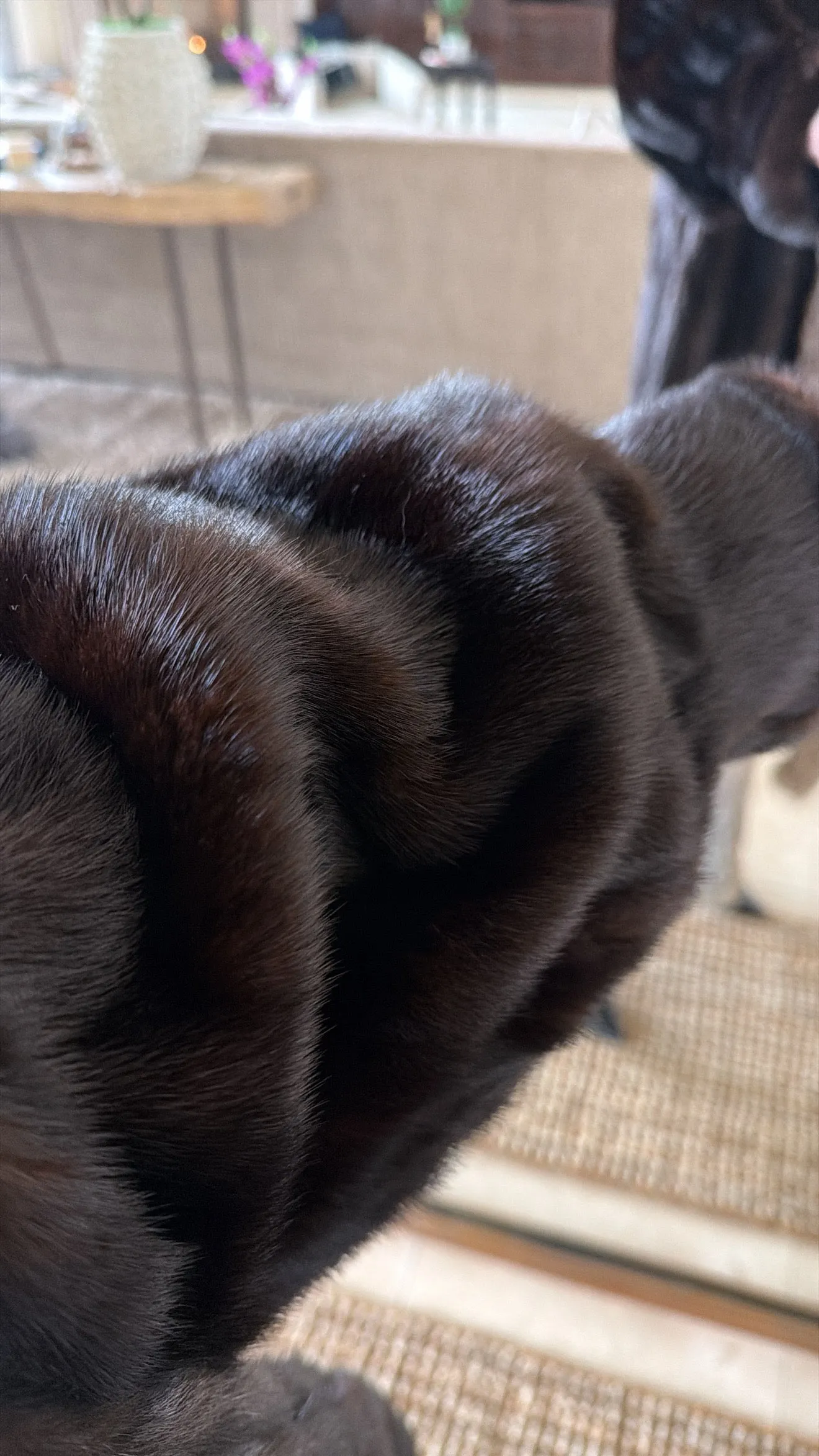 #GB56 Vintage Mink and Fox Coat sold by Glitzy Bella product image thumbnail 4