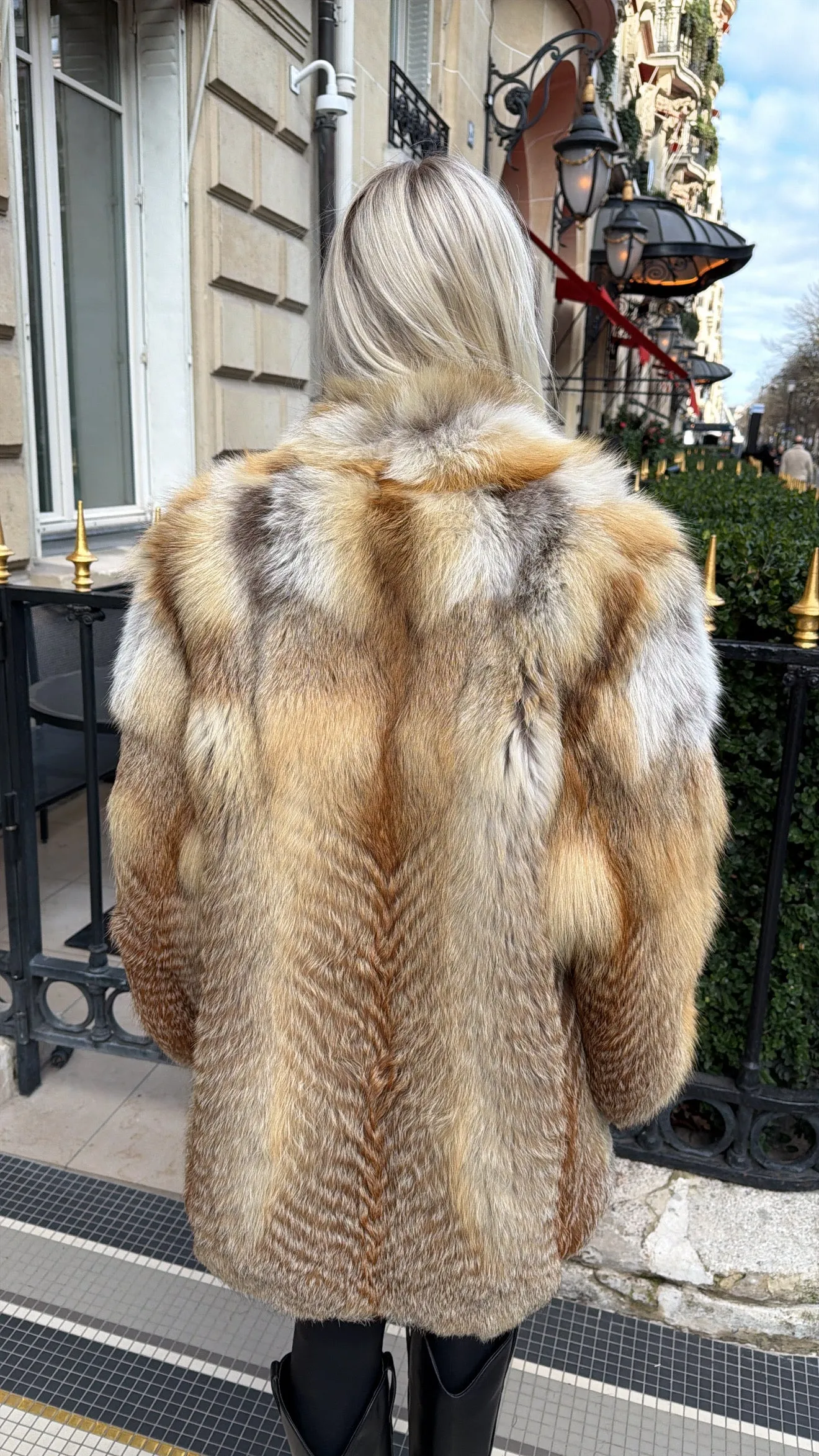 #GB70 Vintage Red Fox Stroller Size Medium sold by Glitzy Bella product image thumbnail 2