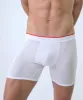 Boxer Brief - Essentials sold by Rounderbum