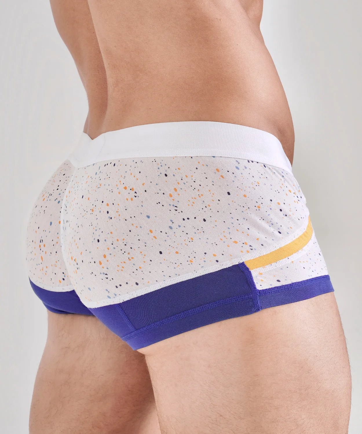 ART POP Anatomic Mini Trunk sold by Rounderbum product image thumbnail 5