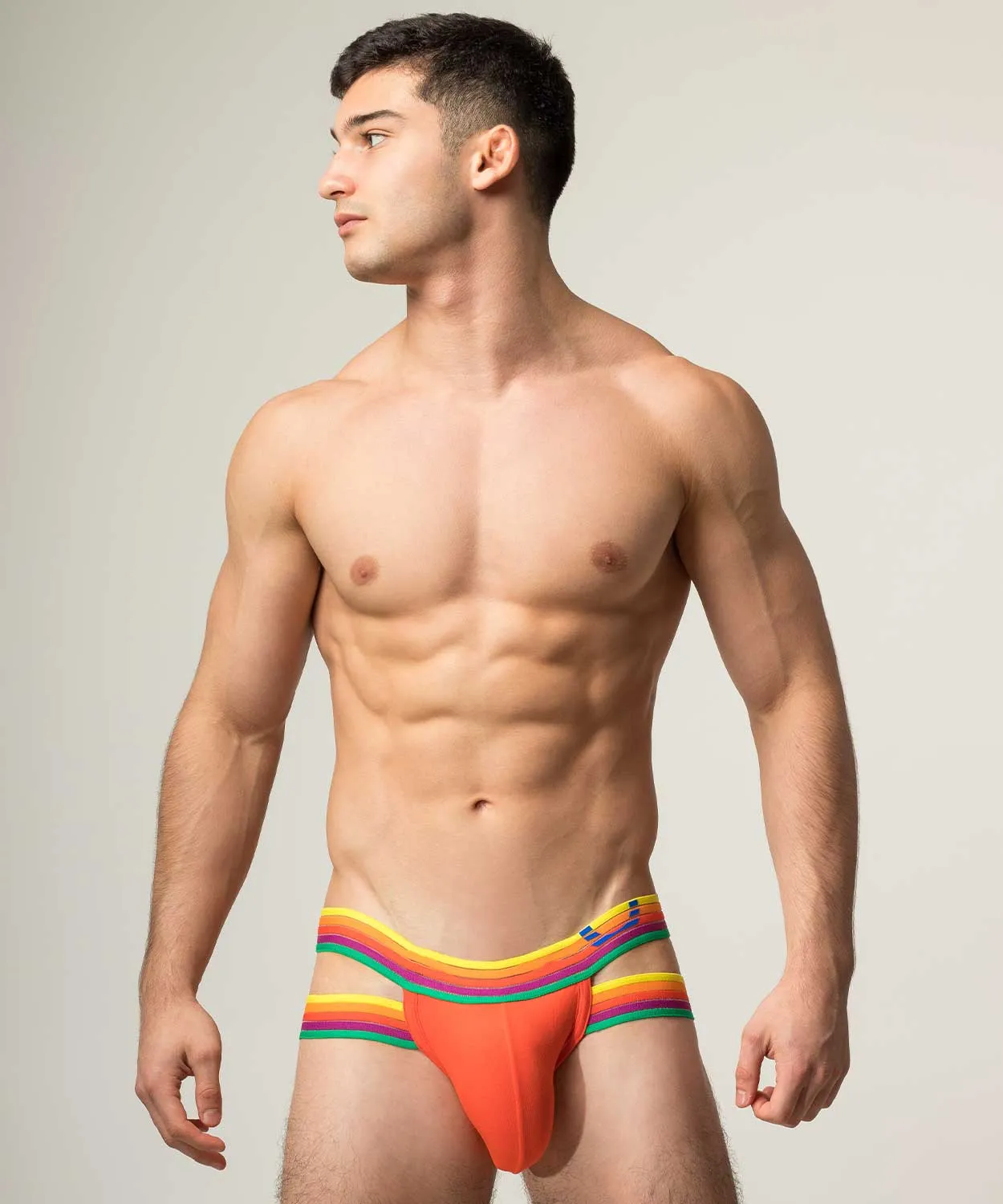 RAINBOW RUSH Lift Holster Brief sold by Rounderbum product image thumbnail 5