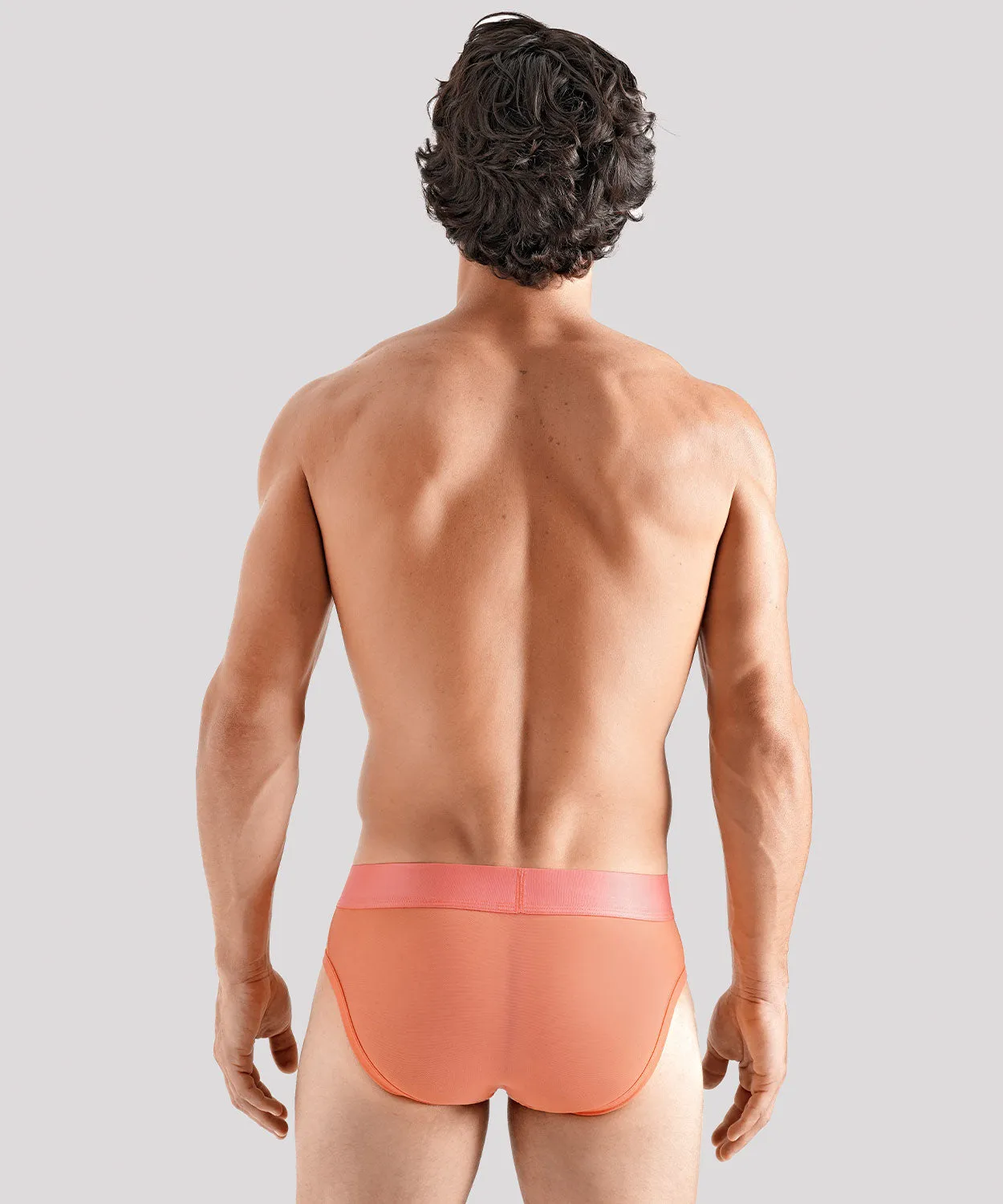 TRANSPARENT PRIDE Package Brief sold by Rounderbum product image thumbnail 2