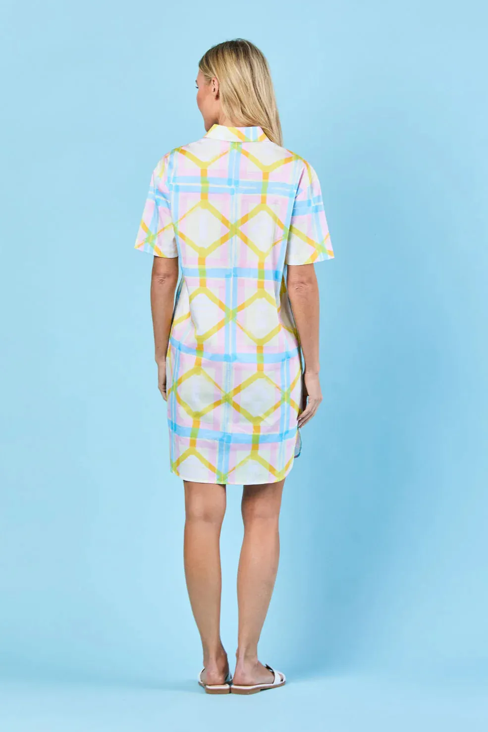Rhodes Dress in Daffodil Picnic sold by Beau & Ro product image thumbnail 5