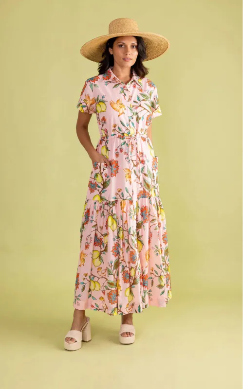 Lucie Dress in Lemon Branch sold by Beau & Ro